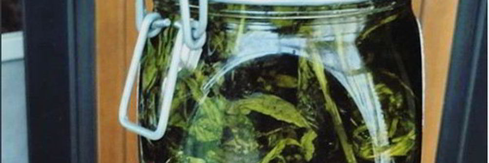 Мятное варенье