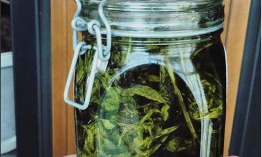 Рецепт мятного варенья