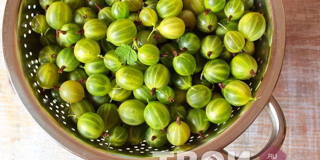 царское варенье из крыжовника