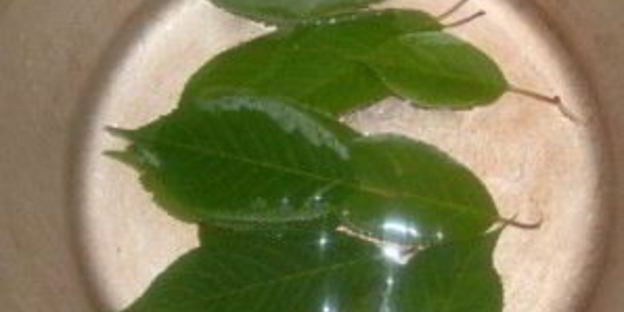 царское варенье