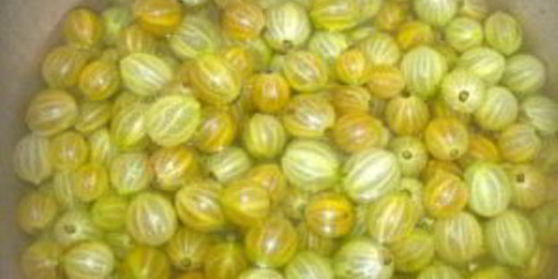 царское варенье