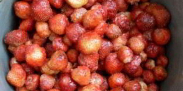 варенье из клубники на зиму