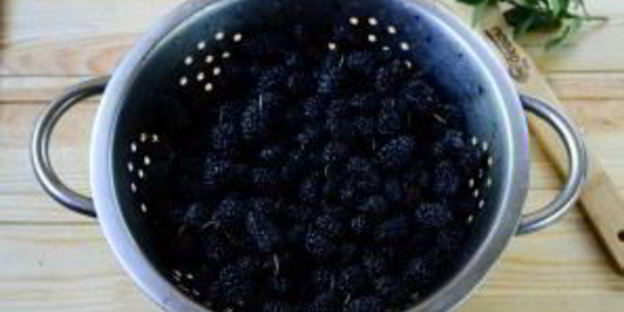 варенье из шелковицы на зиму