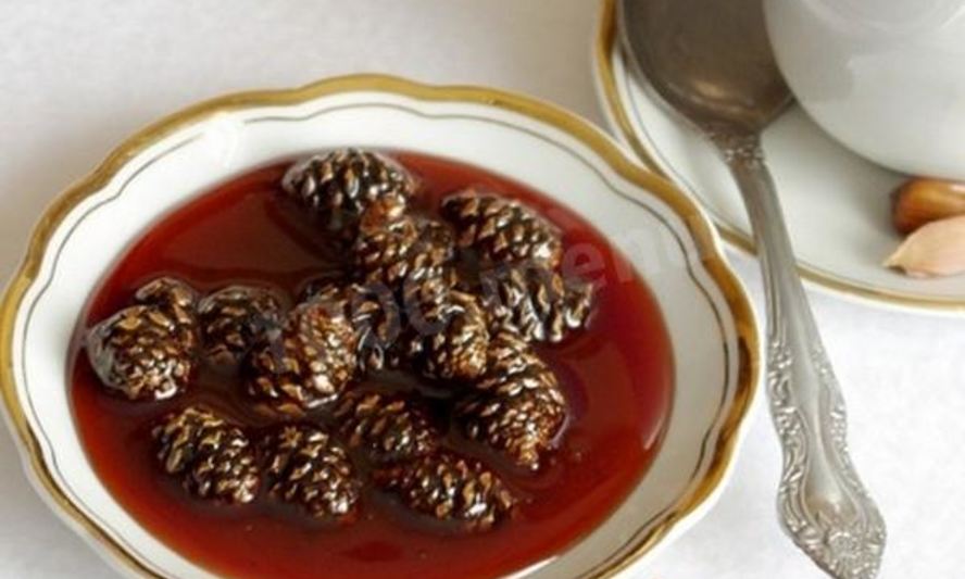 Рецепт варенья из шишек сосны