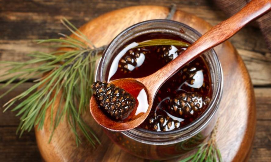 Рецепт варенья из шишек