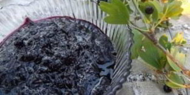 варенье из смородины перекрученное