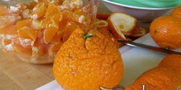 варенье из яблок с апельсинами на зиму