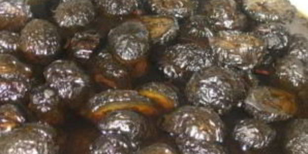 варенье из зеленых грецких орехов