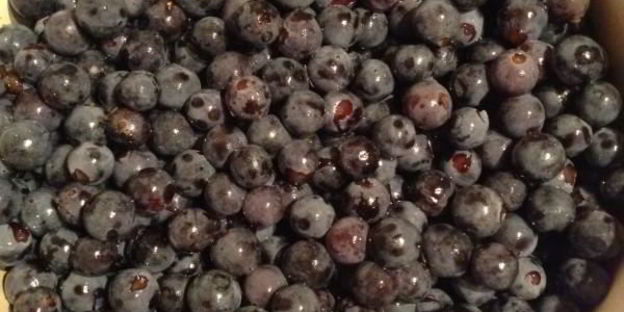 желейное варенье из дикого винограда