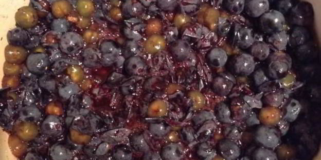 желейное варенье из дикого винограда