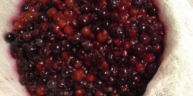 желейное варенье из дикого винограда