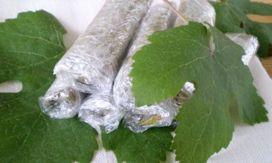 Рецепт виноградных листьев на зиму