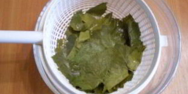 виноградные листья на зиму