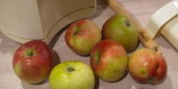 яблочный сок на зиму через соковыжималку