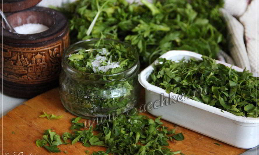 Рецепт заготовки петрушки на зиму