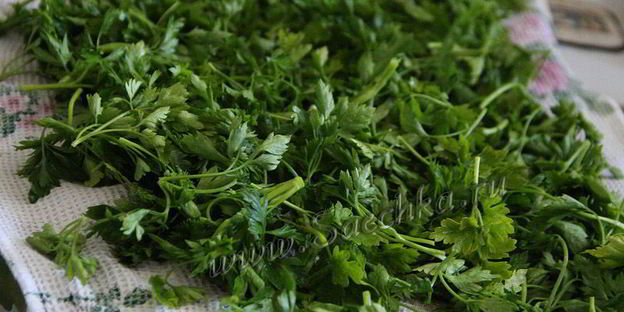 заготовка петрушки на зиму