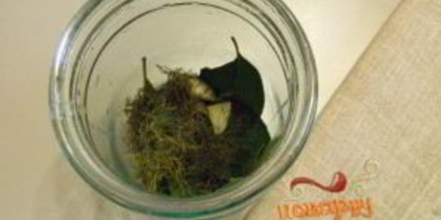 закатка томатов на зиму