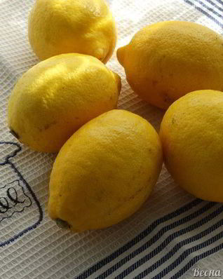 Заквашенные лимоны