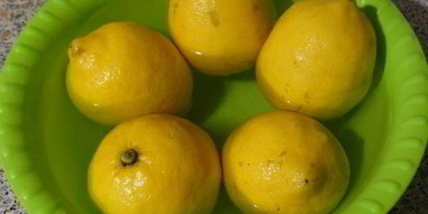 заквашенные лимоны