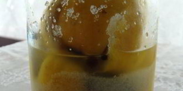 заквашенные лимоны