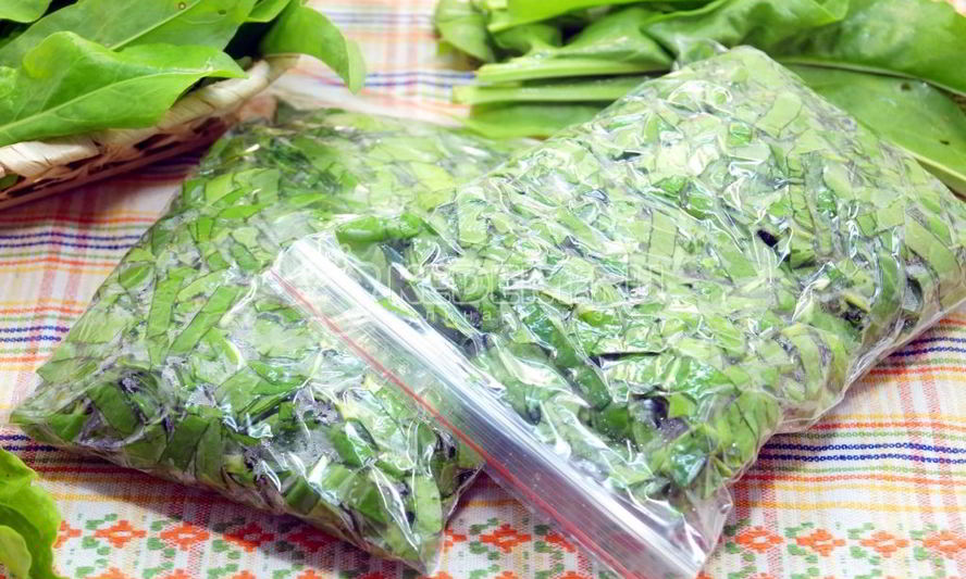 Рецепт заморозки щавеля на зиму