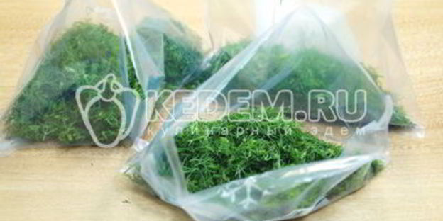 заморозка укропа на зиму