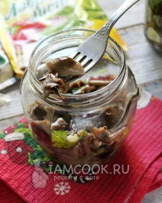 Засолка опят на зиму горячим способом в банках