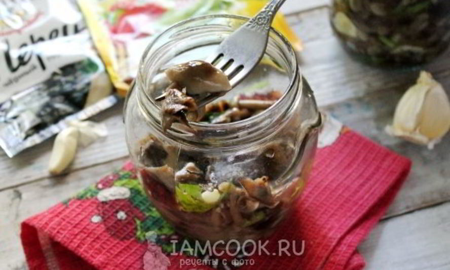 Рецепт засолки опят на зиму горячим способом в банках