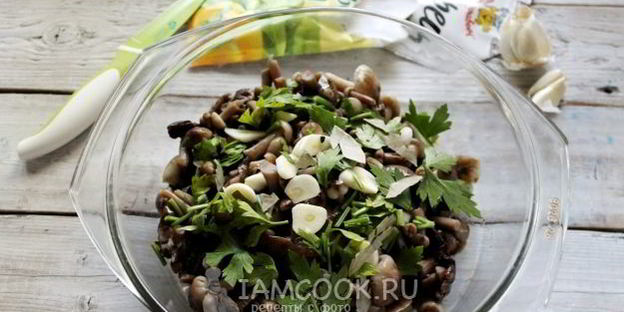 засолка опят на зиму горячим способом в банках