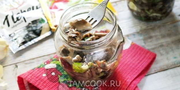 засолка опят на зиму горячим способом в банках