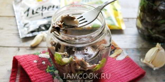 засолка опят на зиму горячим способом в банках