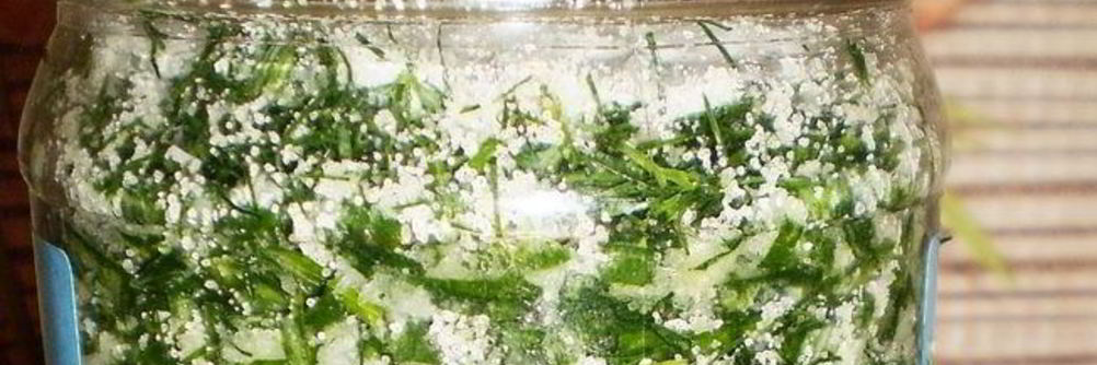 Зеленый лук на зиму