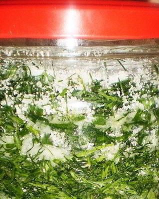 Зеленый лук на зиму