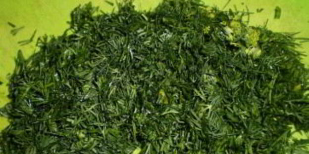 зеленый лук на зиму