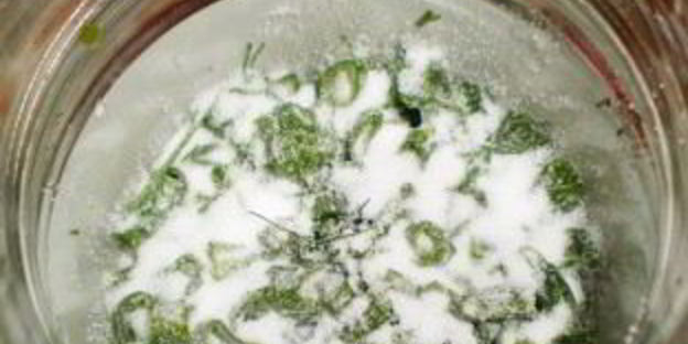 зеленый лук на зиму