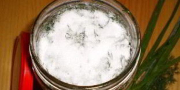 зеленый лук на зиму