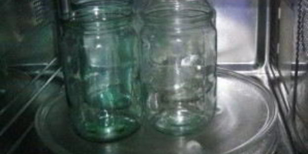 жареные кабачки с чесноком на зиму