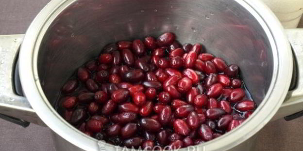 желе из кизила на зиму