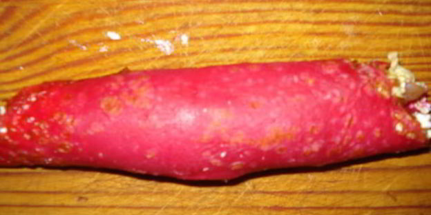 блинная закуска сюрприз