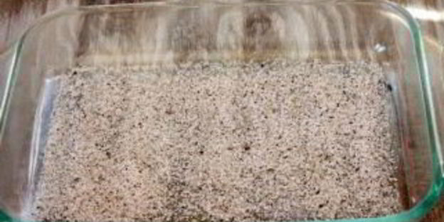 бутерброды с форелью