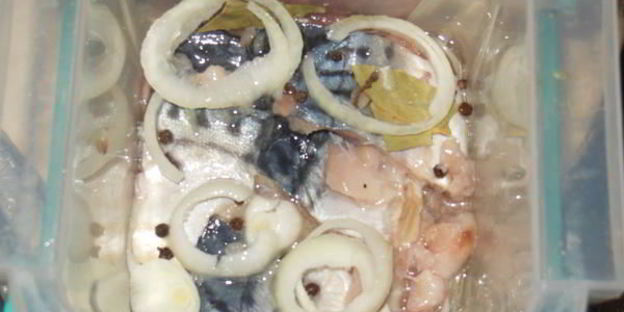 бутерброды со скумбрией быстрого домашнего посола