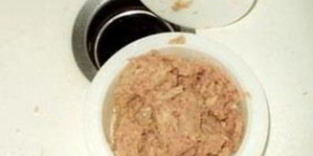 изысканный бутерброд с тунцом