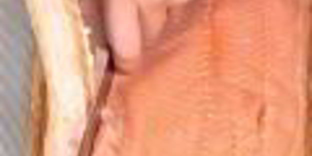 гравлакс, скандинавская соленая семга