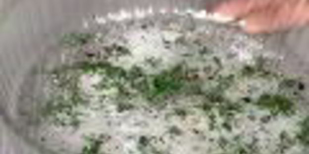 гравлакс, скандинавская соленая семга