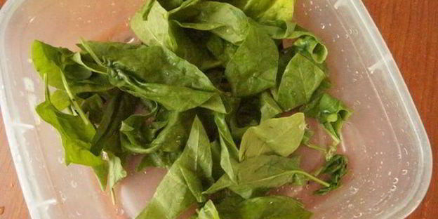 фриттата со свеклой и шпинатом креативный завтрак