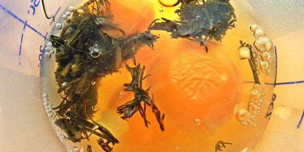 испанский картофельный омлет с рыбкой