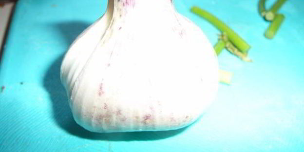 омлет с чесночными стрелками