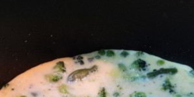 омлет в мультиварке скарлет