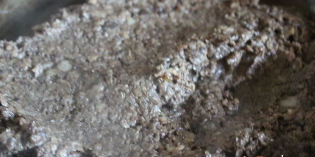 паштет из лесных грибов с гречневыми хлопьями