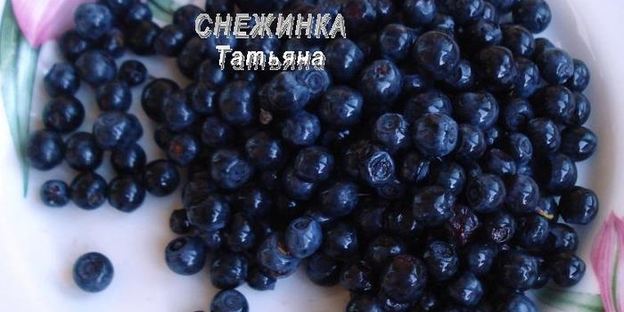 паштет куриный с черникой